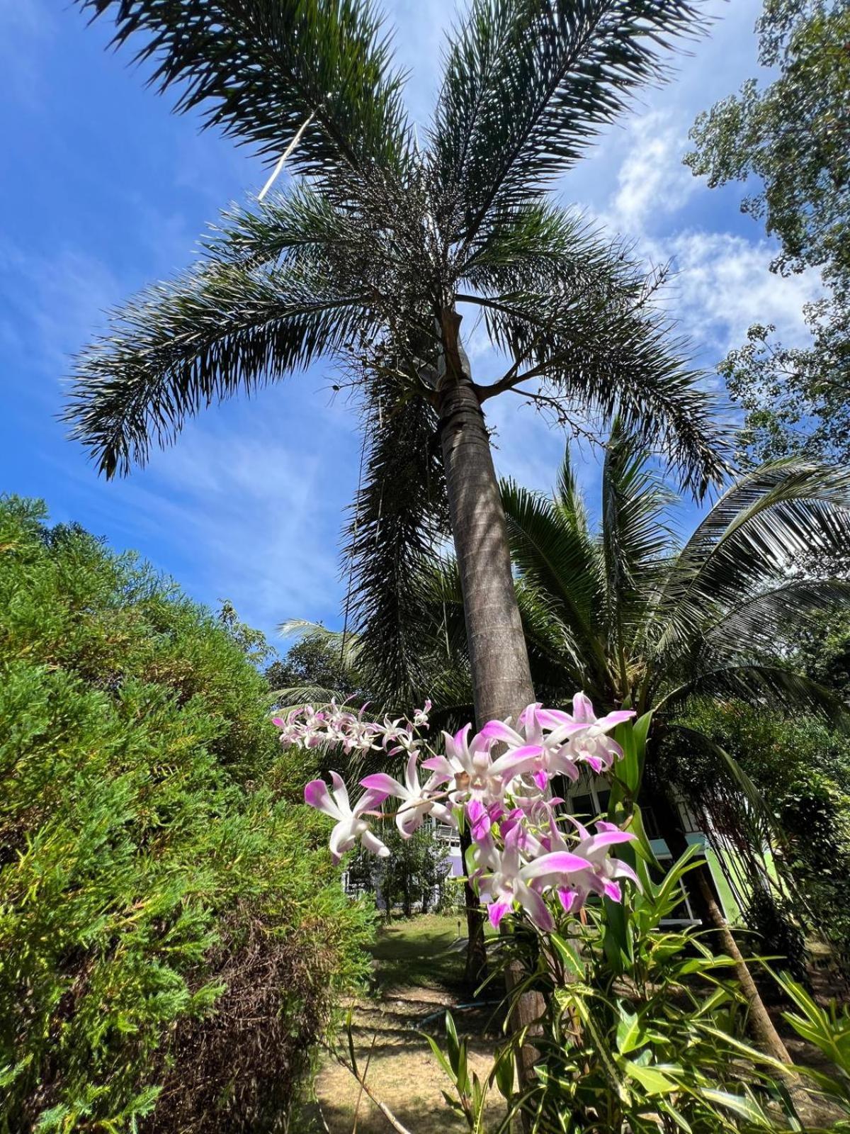 Janzo House Hotel Ban Khlong Mat ภายนอก รูปภาพ